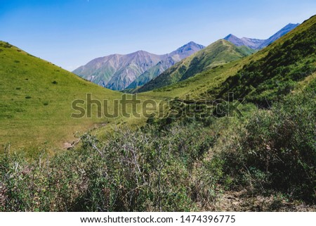 Panorama of a mountain valley in summer, aerial view. A fabulous view of the mountain peaks, amazing nature, summer in the mountains. Travel, tourism. beautiful background picture of nature