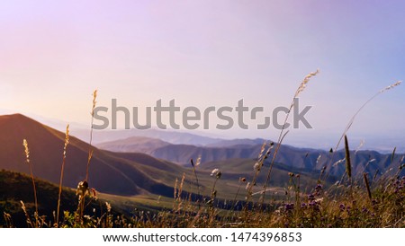 Panorama of a mountain valley in summer, aerial view. Fairytale sunset over the mountain peaks, amazing nature, summer in the mountains. Travel, tourism. beautiful background picture of nature