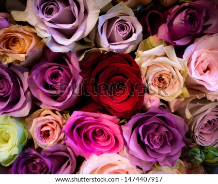 
A bouquet of colorful roses. The image can be used as a background image on invitation cards or similar.