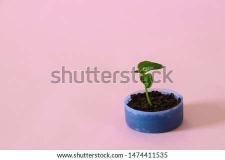 Conceptual minimalist still life photo of a plant growing out from a plastic bottle cap to show the concept of hope for nature, environmental preservation, environmental issues and new beginning