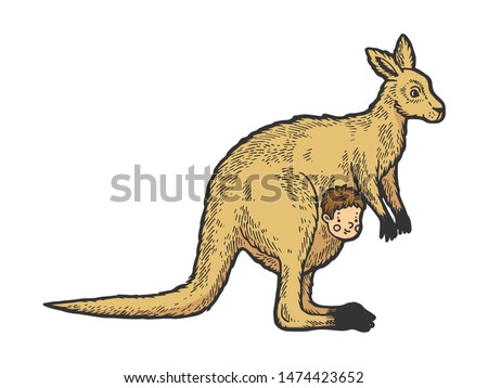 Kangaroo with human baby in kangaroo pouch color sketch engraving vector illustration. Scratch board style imitation. Black and white hand drawn image.