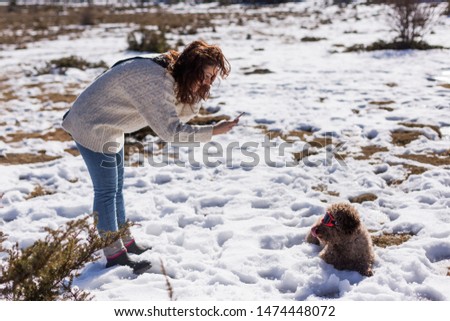 young woman taking a picture with mobile phone to he brown dog sitting on the snow and wearing red ski goggles