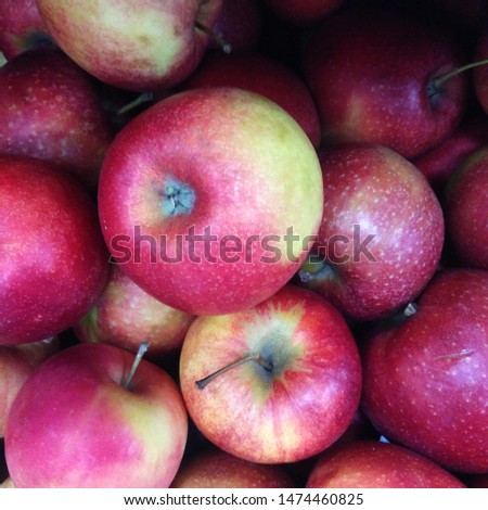 Macro Photo food fruit red apples. Texture background of fresh red pink apples. Image of fruit product big red apples 