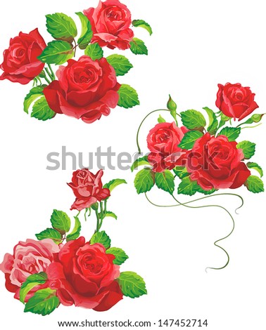 Beautiful isolated flowers on the white background. Set of different beautiful floral design elements