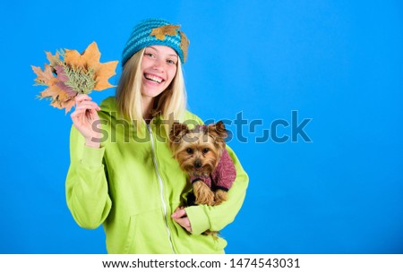Health care for dog pet. Pet health tips for autumn. regular flea treatment. Girl hug cute dog and hold fallen leaves. Veterinary medicine concept. Woman carry yorkshire terrier. Take care pet autumn.