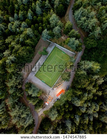Stadium in a forest. There is a little stadium next to Pietrapertosa, Italy. 