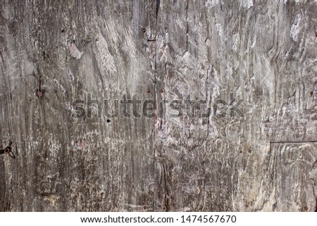 Authentic Grungy Wood Texture. - Image