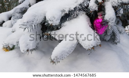 Snowy conifer tree branch textures and shiny pink Christmas ornament hanging from spruce branch. Winter holiday outdoor scene in snow weather. New Year celebration background. 