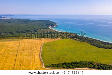 Fields of wheat and sunflower on the Mediterranean coast. Aerial drone shot