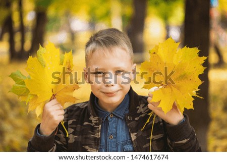 Portrait of happy cute european kid having fun outdoor in golden scenic park. Kid playing autumn leaves with pleassure. Horizontal color photography.