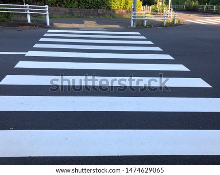 Crosswalk near a primary school in Japan.