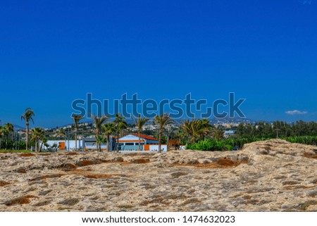 Rocks on the sea coast in the city of Paphos, Cyprus.  View of the yellow sand and stone cliffs with shallow desert vegetation and palm trees in the background.