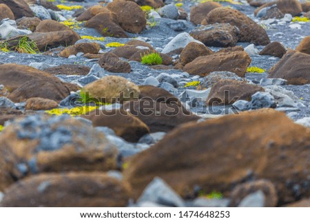 Close up pictures of stones at beach on Iceland