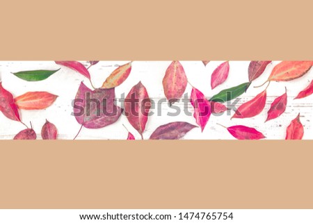 Autumn minilal composition. Frame made of autumn colourful leaves . Flat lay, top view, copy space. Autumn fall nature season background