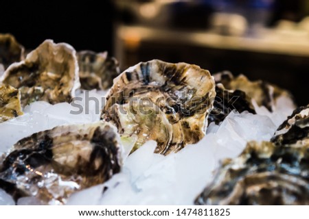 food sea oyster ice shell