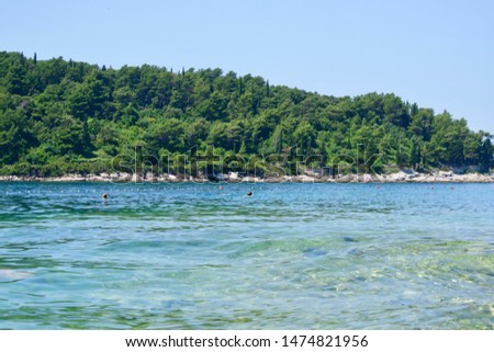 Coast with trees at a turquoise sea under a blue sky