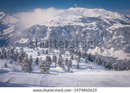 Mayrhofen, Austria Zillertal Valley on a background of snowy fir trees, view from the mountain