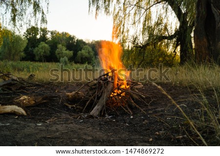 
Bonfire in the nature. Bright fire and flame tails.