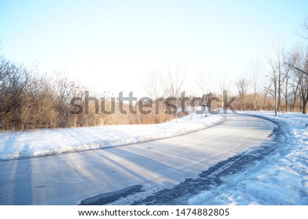 Photography of a street in a park in winter