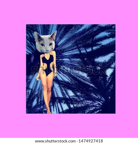 Contemporary art collage.  Beach kitty  fashion mood