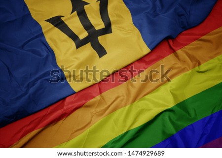 waving colorful gay rainbow flag and national flag of barbados. macro