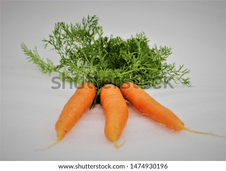 Beautiful fresh young appetizing carrot on a white background.