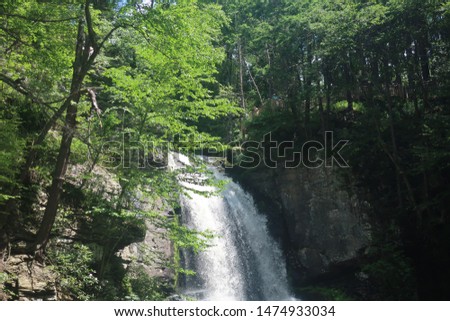 Waterfall in the Poconos, Pennsylvania