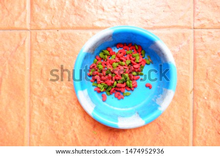 Cat food is red and green fish shape in a bright blue tray on brown ground.