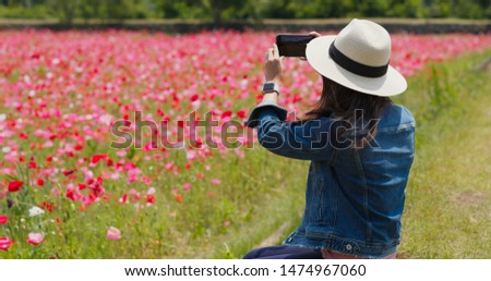 Woman take photo on cellphone in poppy flower garden 