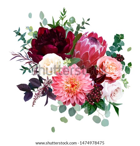 Luxury fall flowers vector bouquet. Protea flower, garden rose, burgundy red peony, peachy coral dahlia, ranunculus, astilbe, greenery and berry. Autumn wedding bunch of flowers. Isolated and editable Royalty-Free Stock Photo #1474978475
