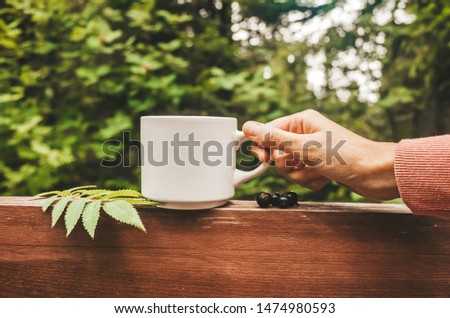 A white cup of tea stands on a wooden railing against the background of trees in the park. Hand holds a cup. Near the berries of black currant. The concept of outdoor recreation, healthy natural drink