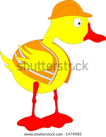 Duck Constructor