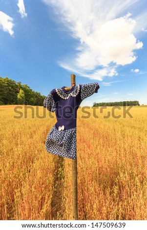 agricultural field, nature and agriculture farming series