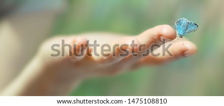 Butterfly sits on a woman hand on a blurred background. Magical Butterfly close up butterfly wings are folded 
Harmony of nature. Macro.   
           