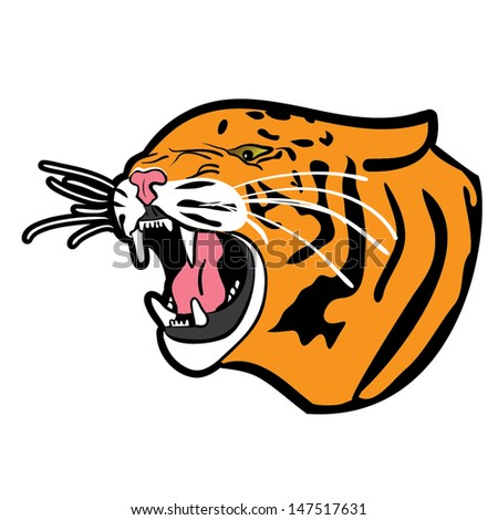 wild cat angry,angry tiger head vector