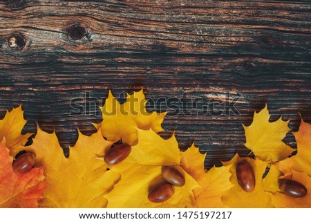 yellow orange maple leaves and acorns on the background of old wooden boards. Flat lay, top view with copy space