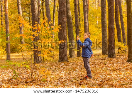 boy photographing on the smartphone autumn leaves in the park