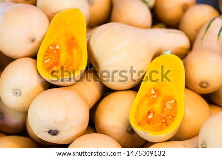Fresh Honeynut Butternut Squash at a produce stand. Raw Orange Organic Butternut Squash Ready to Bake. Butternut Squash textured background selective focus. Royalty-Free Stock Photo #1475309132