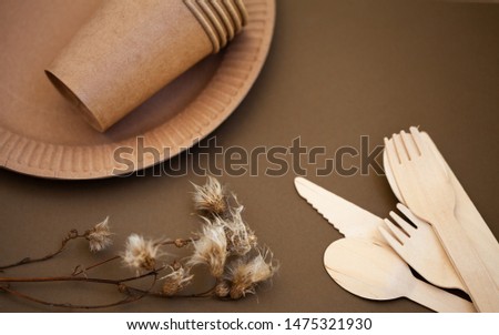 Zero waste, environmentally friendly, plastic without a background, disposable tableware, cardboard tableware, paper tableware, space for text, view from the top. Save the planet.