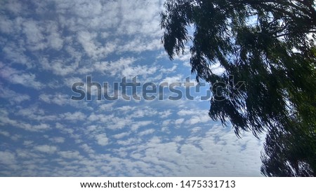 Beautiful pattern formed by the white clouds in the blue sky.