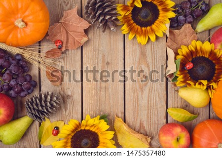 Autumn harvest concept with pumpkin, apples and sunflowers on wooden table. Thanksgiving holiday background. Top view from above