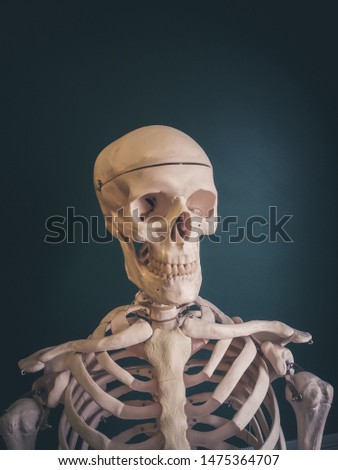 Human skull isolated on dark background.