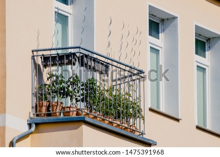 small, vegetable-planted balcony in the city
