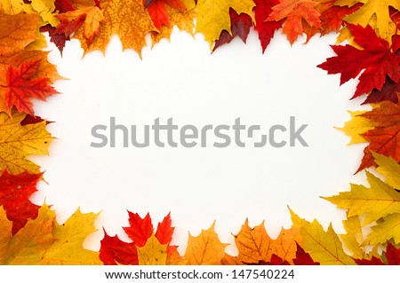  frame composed of colorful autumn leaves over white 