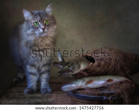 Still life with pike fish and adorable kitty