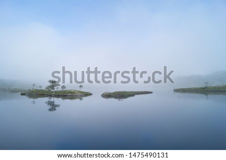 Outdoors photo of still water with tree and island