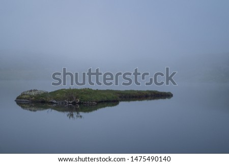 Outdoors photo of still water with tree and island