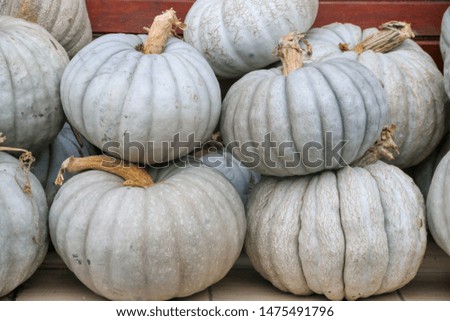 pumpkins for sale at the market	