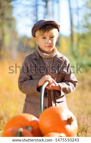Little boy playing with pumpkins in the fall