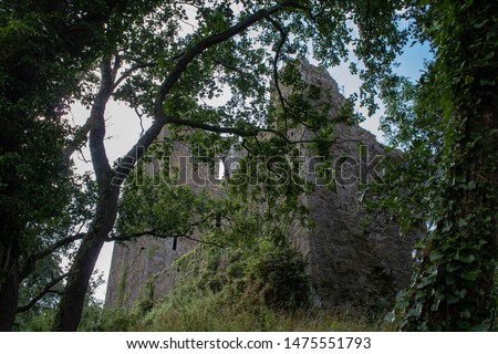 Kilcrea Castle County Cork Ireland